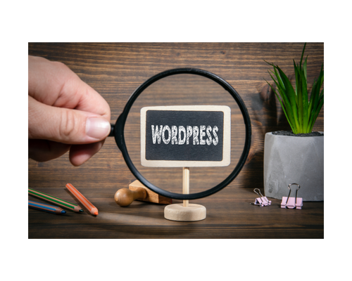 WordPress İle Profesyonel Bir Web Sitesi Nasıl Yapılır: Adım Adım Kılavuz
